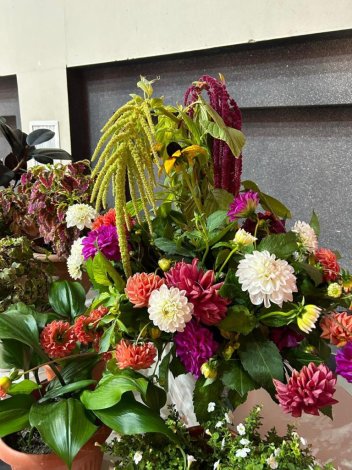 WhatsApp_Image_2024-09-30_at_10.33.51_7