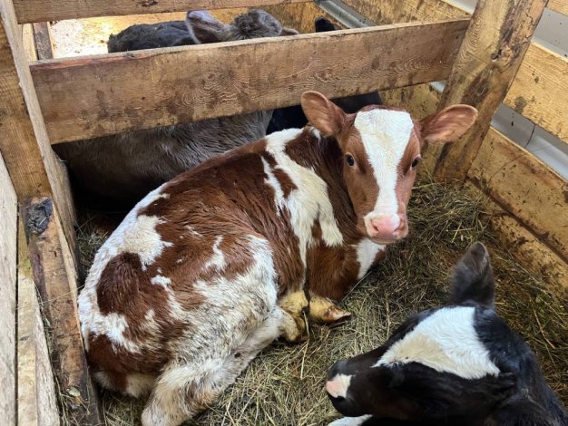 photo_5386820958888783235_y