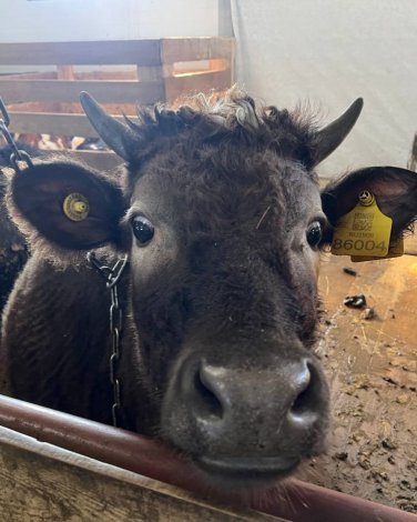 photo_5386820958888783282_y