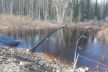 IMG-20240517-WA0047