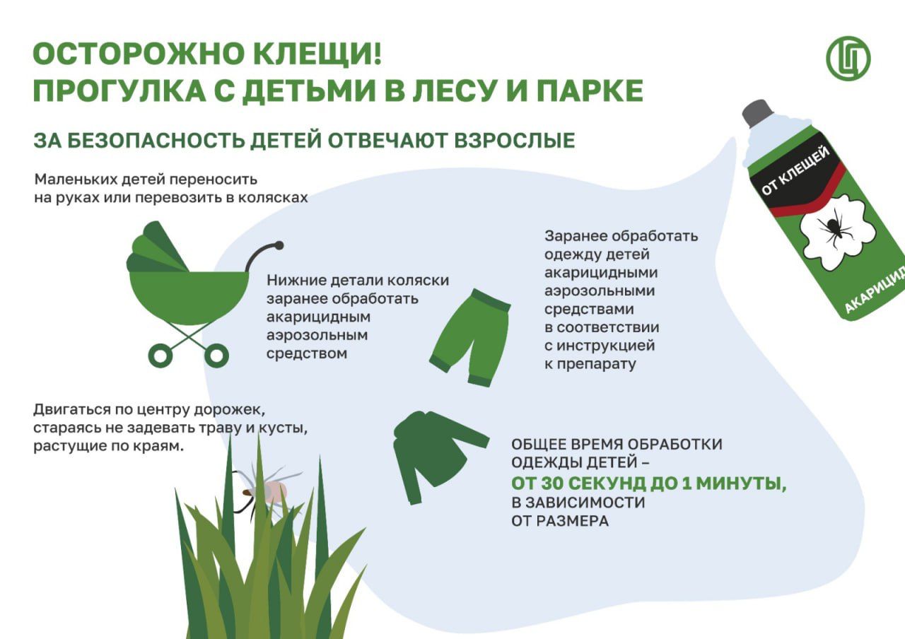WhatsApp Image 2025 04 08 at 19.12.03